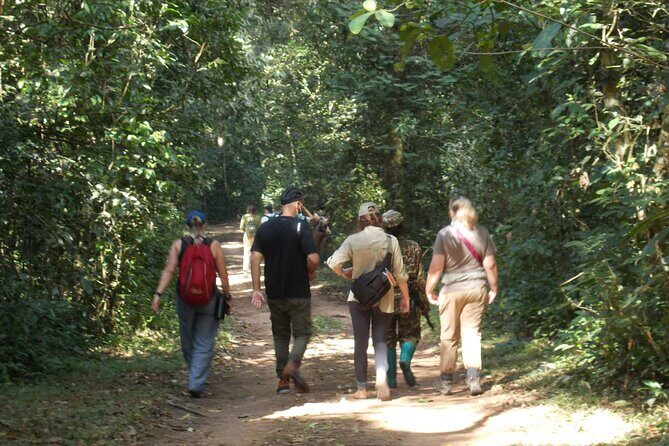 3 Day Bwindi gorilla flying in safari - In-Depth Look at the Experience
