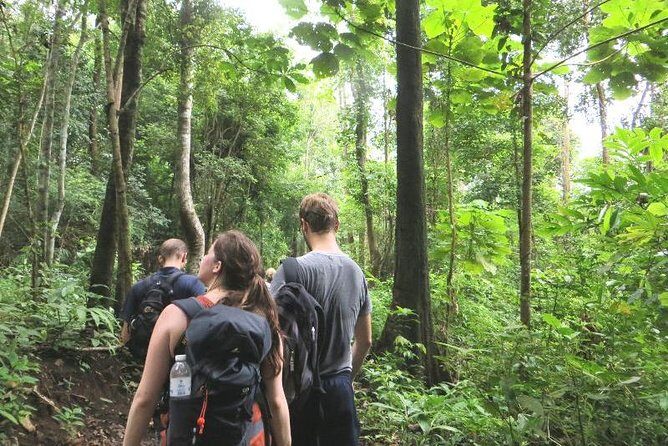 3-Day Chiang Dao Mountain Trek - What Makes This Trek Stand Out?