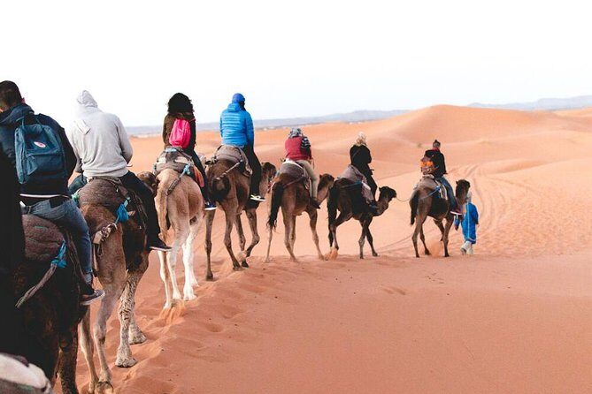 3-day excursion to Merzouga from Marrakech including the Dades valley and camel trek in Erg Chebbi - What Travelers Can Expect