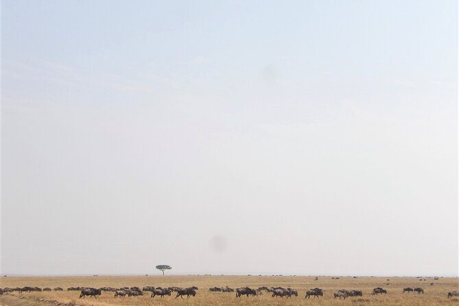 3 Day Exploring Amboseli National Park - Who Should Consider This Tour?
