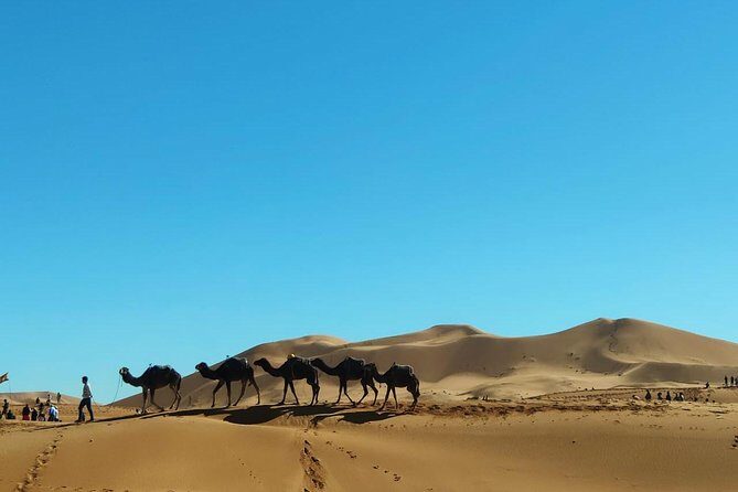 3 day from fes via desert Marrakech - What Travelers Will Experience and Love