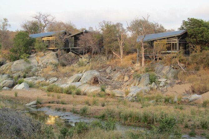 3 Day Greenfire Game Lodge Safari - The Itinerary: What to Expect
