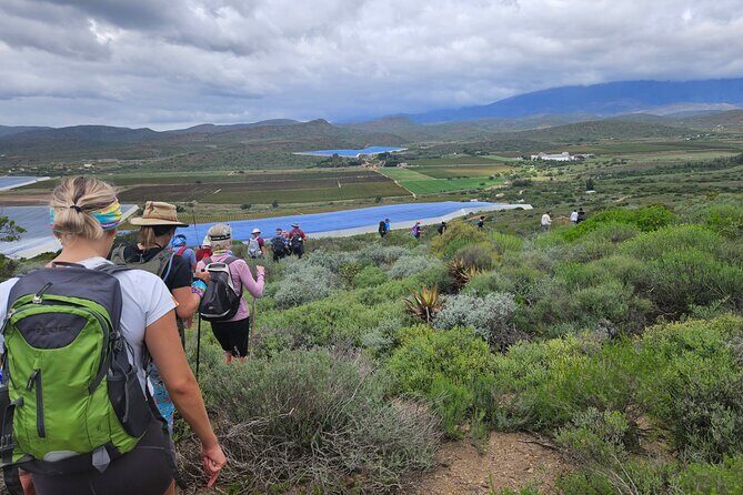 3 Day - Guided Private Wine Walk Trails and Fossil Hunt - The Sum Up