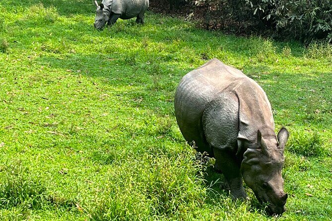 3-Day Guided Safari Tour in Chitwan National Park in Nepal - Exploring Chitwan National Park: The Heart of Your Safari