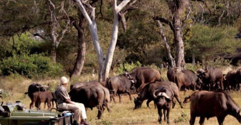 3 Day Hluhluwe & Isimangaliso Wetlands Pk Tour from Durban - The Experience of the Parks and Encounters