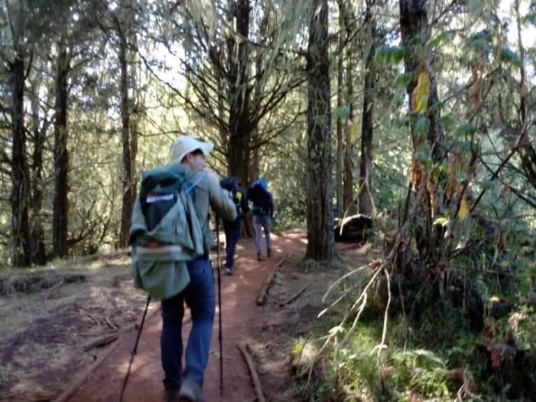 3 day Kilimanjaro trekking experience on the Machame route. - Who This Trek Is Perfect For