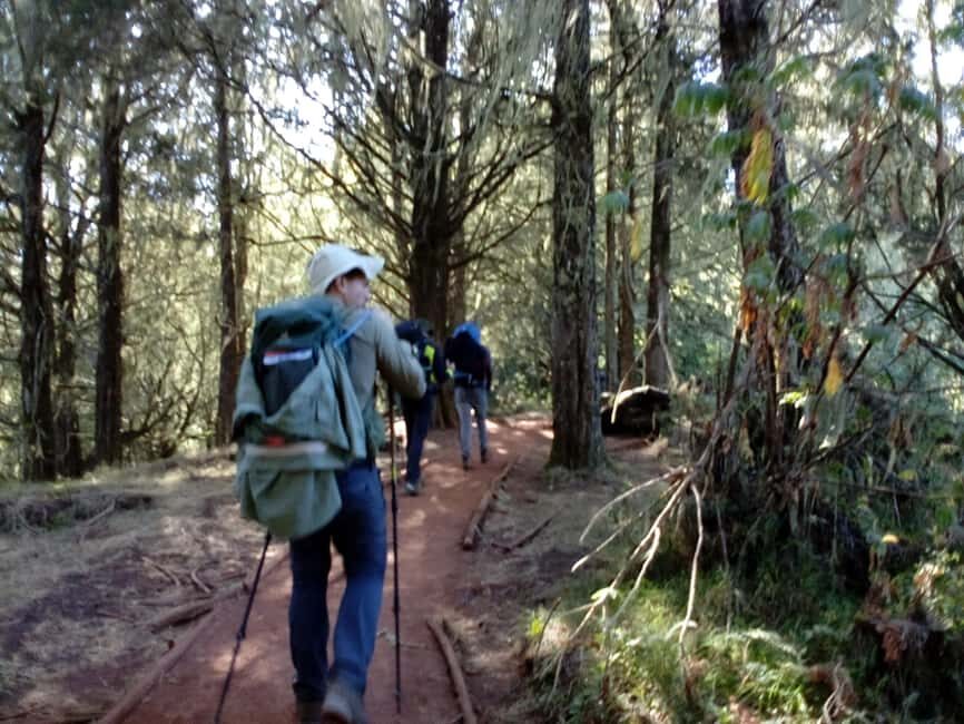 3 day Kilimanjaro trekking experience on the Machame route. - Who This Trek Is Perfect For