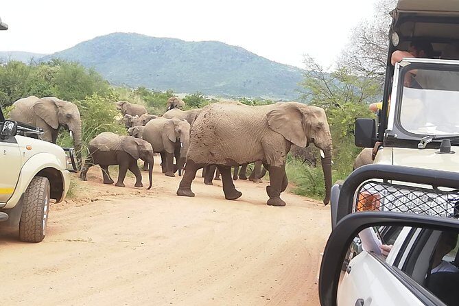 3 day Kruger National Park end with panaroma - Authentic Experiences and Guide Highlights