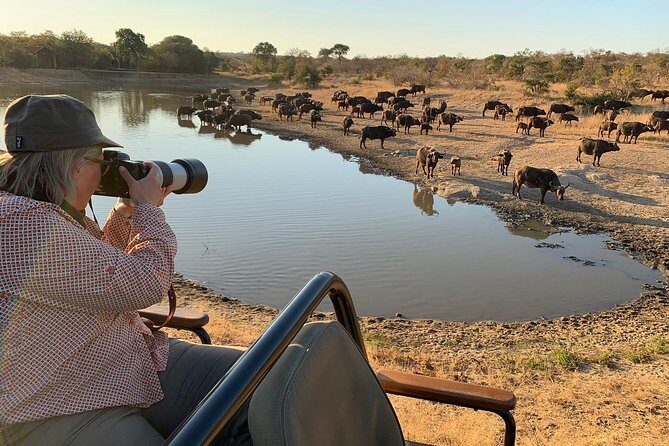 3-Day Kruger National Park Open Vehicle Safari - Day 3: The Return and Reflections
