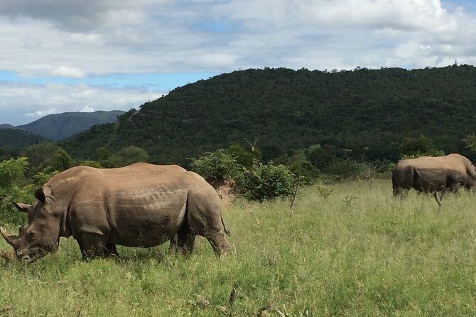3-Day Kruger National Park Private Safari from Johannesburg - The Value of This Tour