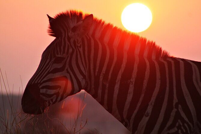 3 Day Kruger National Park tour - Final Thoughts