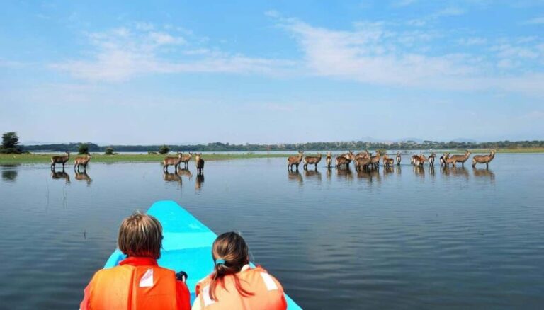 3-day Lake Naivasha, Lake Elementaita and Lake Nakuru Safari - What Makes This Tour Stand Out?