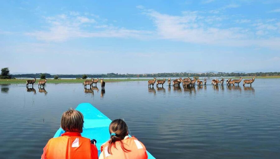 3-day Lake Naivasha, Lake Elementaita and Lake Nakuru Safari - What Makes This Tour Stand Out?