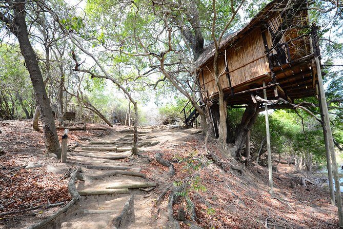 3 Day Lodge/Treehouse Kruger National Park Safari - Final Thoughts: Is This Tour Right for You?