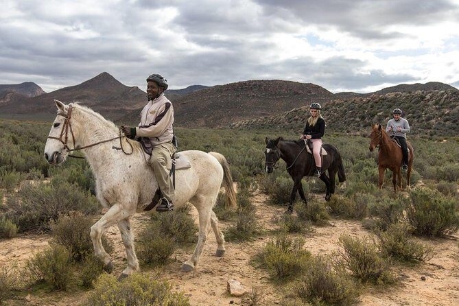 3 Day Luxury Aquila Private Game Reserve - What Does the Experience Really Feel Like?