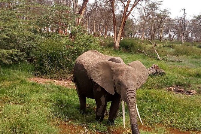 3 Day Maasai Mara & Migration safari - The Sum Up