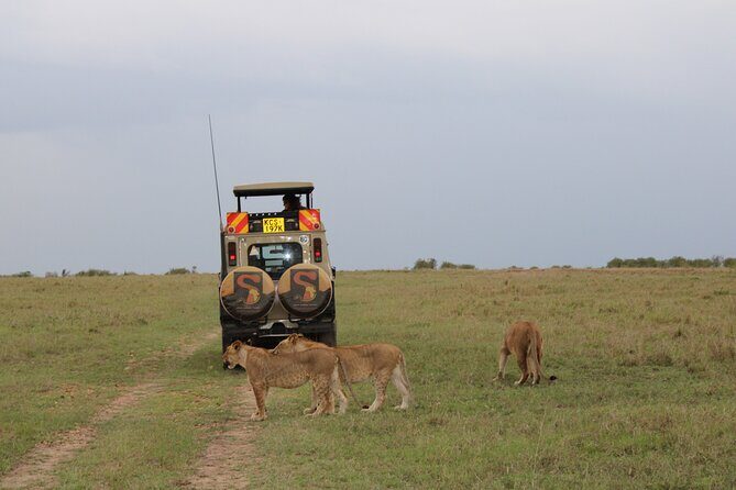 3-Day Maasai Mara Sharing Safari in a 4x4 Land Cruiser Jeep - Detailed Itinerary Breakdown