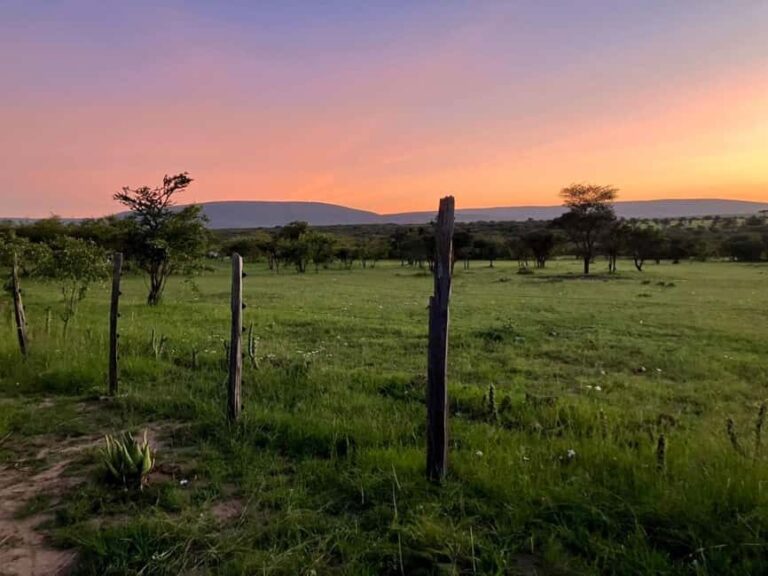 3-Day Masai Mara Camping Safari From Nairobi - The Heart of the Experience: Full-Day Game Drive