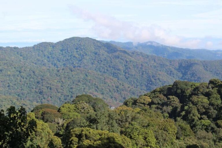 3-Day Nyungwe National Park and Lake Kivu Tour - An In-Depth Look at the 3-Day Tour Experience