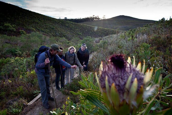 3-Day Private Hiking Trail in The Overberg - The Itinerary Breakdown