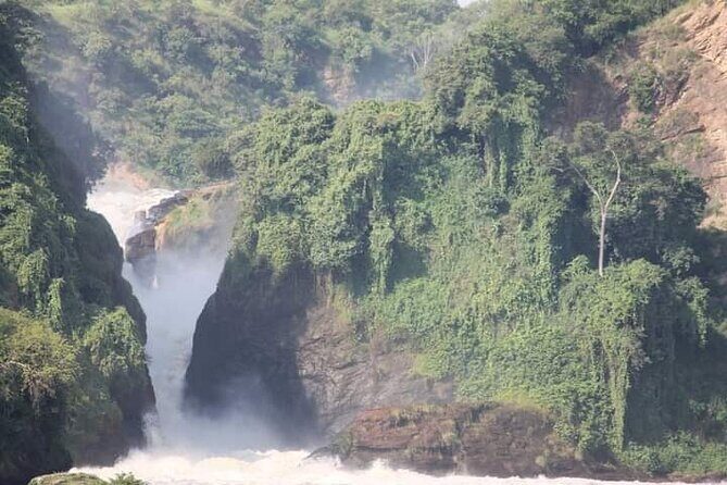 3-Day Private Safari of Murchison Falls National Park - Day 1: From Kampala to Murchison – Wildlife Encounters & Scenic Drives