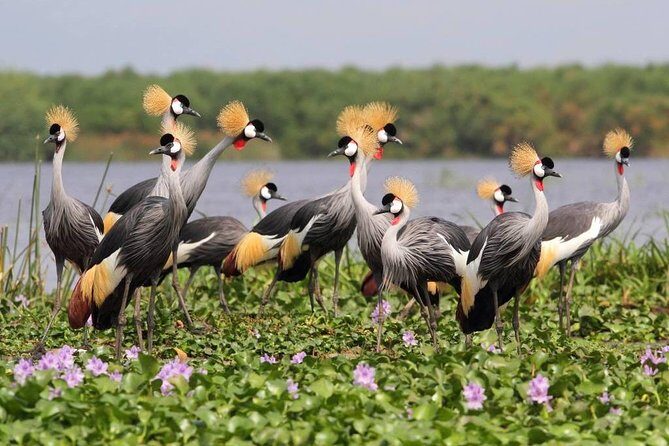 3 Day Private safari to Murchison Falls National Park with Big Five Experience - Detailed Breakdown of the Itinerary