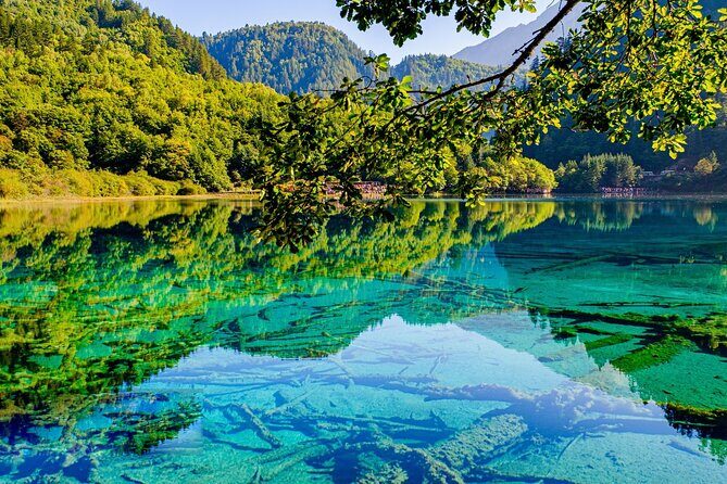 3 Day Private Tour to Jiuzhai Valley and Huanglong - What Travelers Say