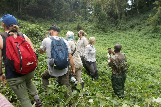 3 Day Rwanda to Uganda gorilla trekking Safari - Real Traveler Perspectives