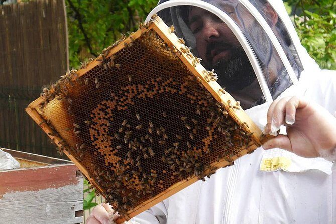 3 Day Rwanda with Bisoke Hike, Twin Lakes & Beekeeping - Transportation, Timing, and Group Size