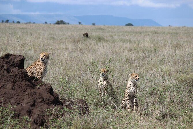 3 Day Safari from Arusha: Serengeti and Ngorongoro - Practical Considerations