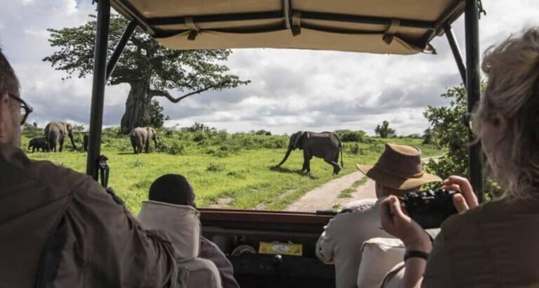 3-day safari in the Masai Mara camp on a LandCruiser 4x4jeep - Day 2: Full day in the Masai Mara – The wildlife spectacle