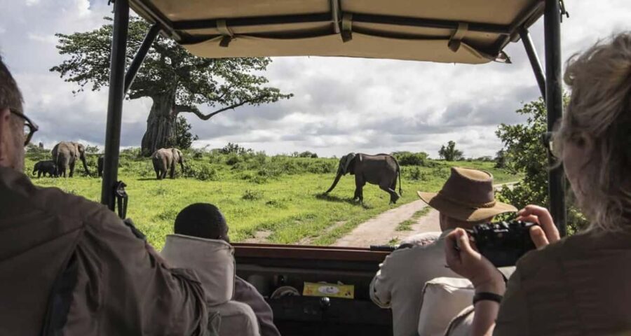 3-day safari in the Masai Mara camp on a LandCruiser 4x4jeep - Day 2: Full day in the Masai Mara – The wildlife spectacle