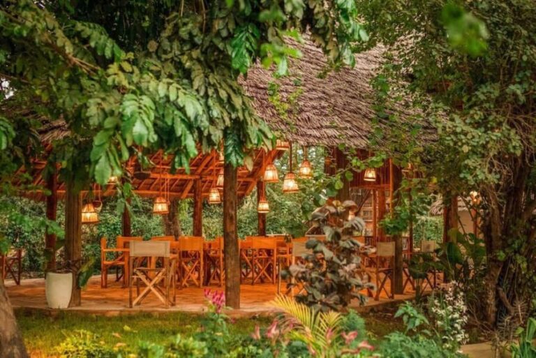 3-Day Safari to Tarangire, Ngorongoro, & Kilimanjaro - What’s Included and What’s Not