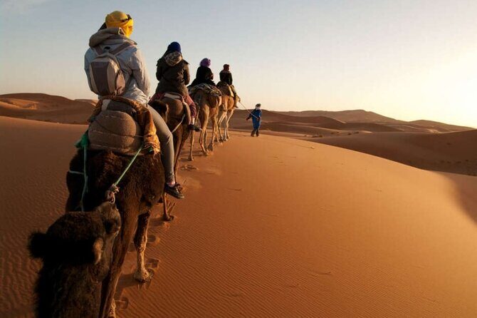 3-Day Sahara Desert Trip From Marrakech To Merzouga - Transportation and Group Dynamics