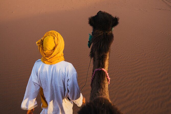 3-day Sahara Desert Trip From Marrakech - What Travelers Say