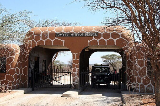 3-Day Samburu safari from Nairobi - Day 3: Return Journey with Wildlife and Scenic Highlights