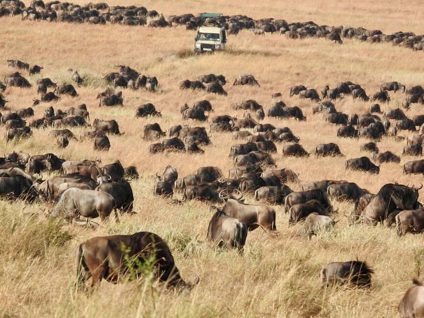 3-Day Serengeti National Park Safari
