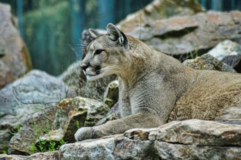 3-Day: Tanzania Safari - The Itinerary in Detail