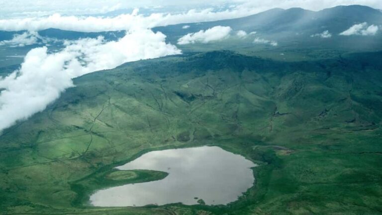 3 Day Tanzania Safari - What’s Included and What’s Not