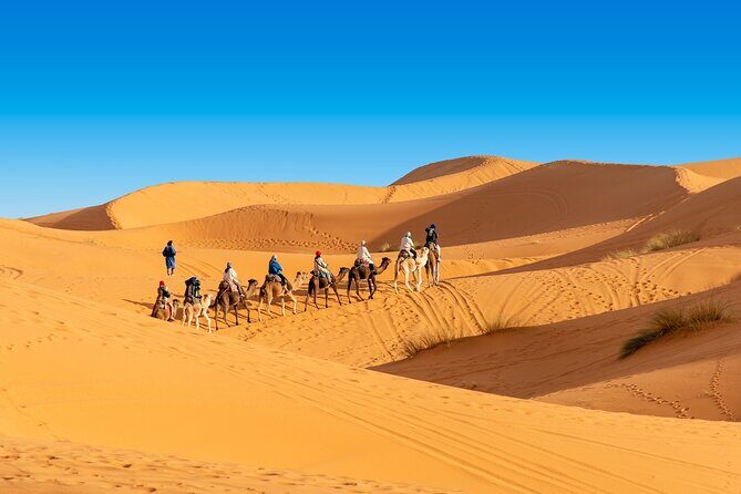 3 Day Tour from Marrakech to Merzouga with Camel Ride Included - Who Should Consider This Tour?