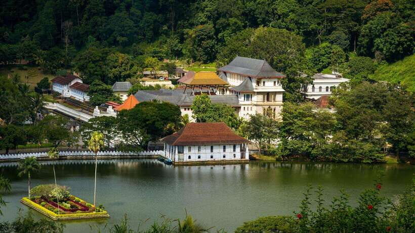 3-Day Tour from Your Hotel: Explore Kandy, Ella, and Yala - Practical Details and Value