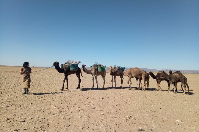3-day trek - In the shade of palm trees - What Makes This Tour Stand Out