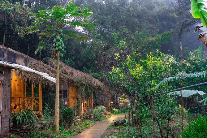 3-Day Trekking Adventure of Sapa from Hanoi - Stay Ta Van Village - The Reviews: What Travelers Say
