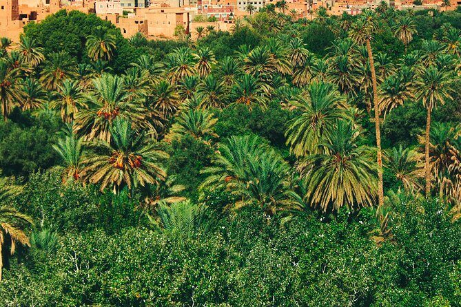 3 Day Trip from Marrakech to Merzouga - Authenticity and Cultural Depth