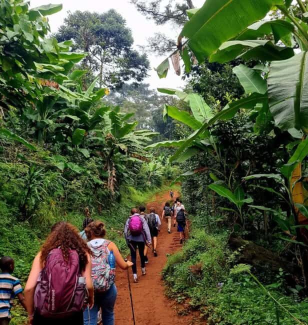 3-Day Udzungwa Mountains Trekking - An In-Depth Look at the 3-Day Udzungwa Mountains Trek