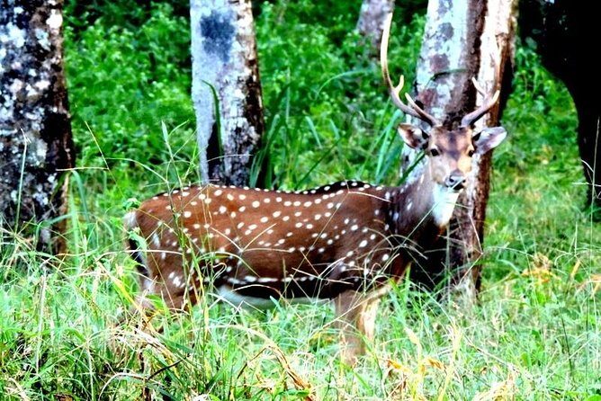 3-Day Wayanad Tour from Bangalore - Final Thoughts