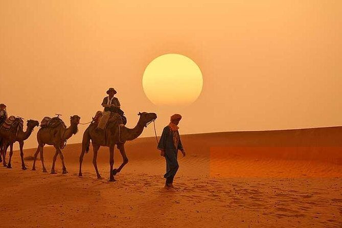 3 Days 2 night group desert tour from Marrakech to Merzouga - Who Should Consider This Tour?