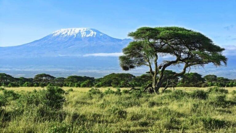 3 Days 2 Nights Amboseli National Park Tour - Inclusions and Practicalities