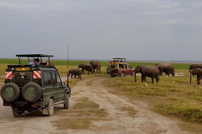 3 Days 2 Nights Amboseli National Park Tour - What’s Included and What’s Not