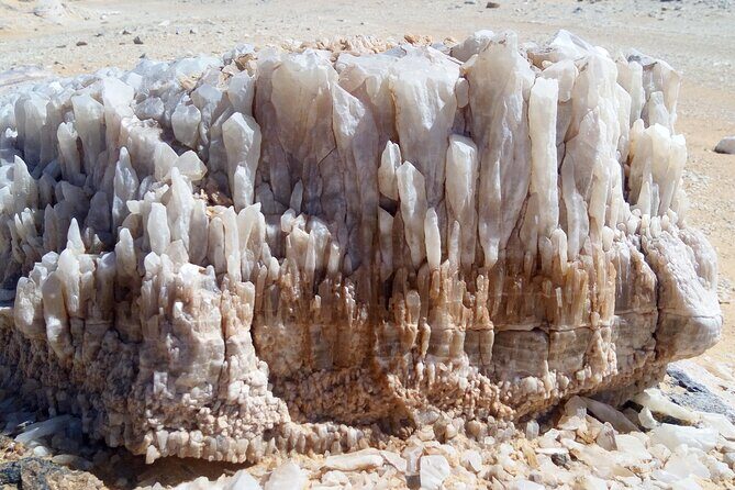 3 Days 2 Nights Black and White Desert Tours Experience - The Experience of Staying in the Desert